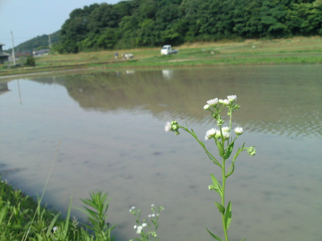 SN3J1138.jpg