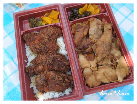 鳥めしとチキンカツ弁当