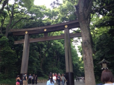 image1.JPG