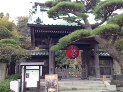 image1.JPG