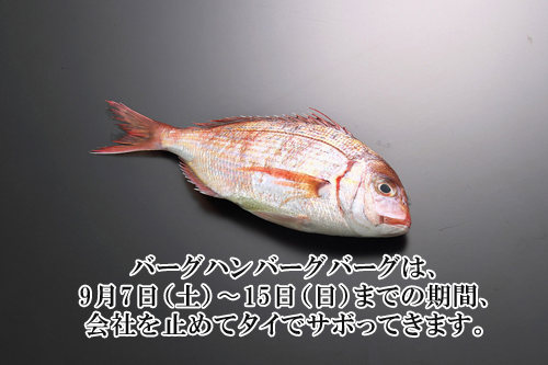 会社業務を全停止させてタイに行くご報告 京都大丸シモダの