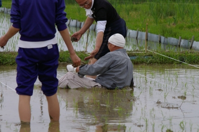 どぼん!
