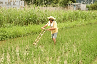池山さん