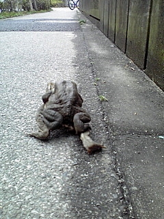 かえるくん後ろ姿