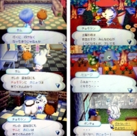 おいでよどうぶつの森171022_2000_t_t