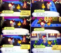 おいでよどうぶつの森マイゴちゃんs (1).jpg
