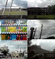 ISG20190329_t.jpg