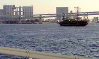 20191005豊海埠頭 (1)