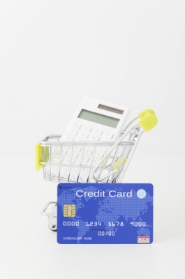 クレジットカードのショッピング枠を使えるだけで助かる
