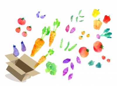 食べ物が買えなくなると子どもの体にも影響が！