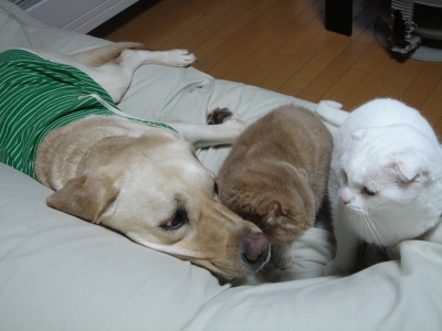DSC05485.JPG