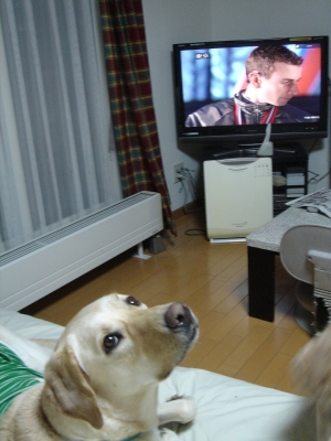 DSC05483.JPG