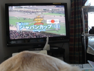 DSC05501.JPG