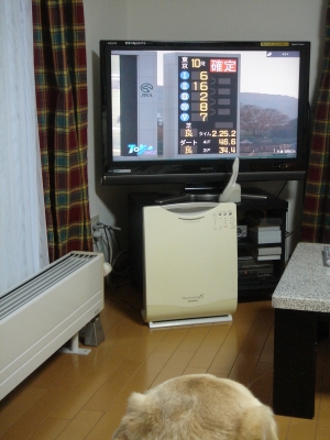 DSC05514.JPG