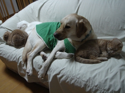 DSC05515.JPG