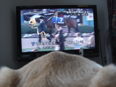 DSC05658.JPG