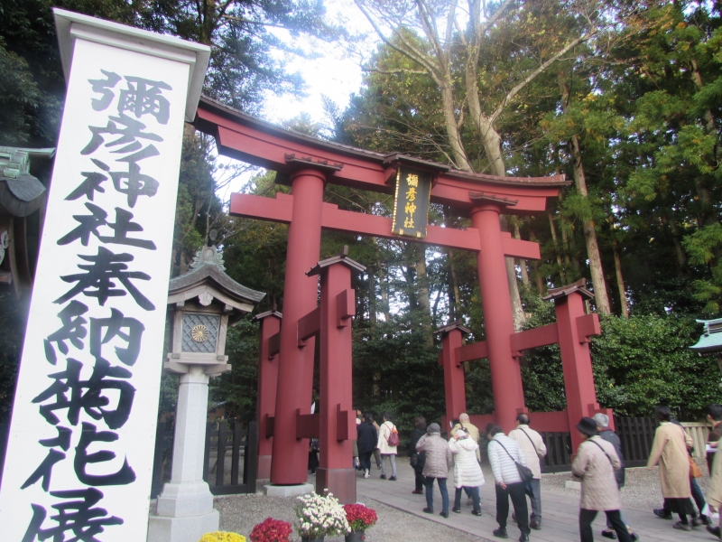 弥彦神社(彌彦神社)は新潟県西蒲原郡弥彦村にある