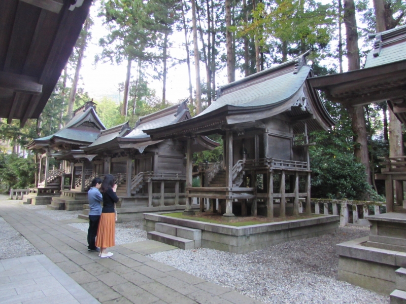 弥彦神社(彌彦神社)の摂社・末社