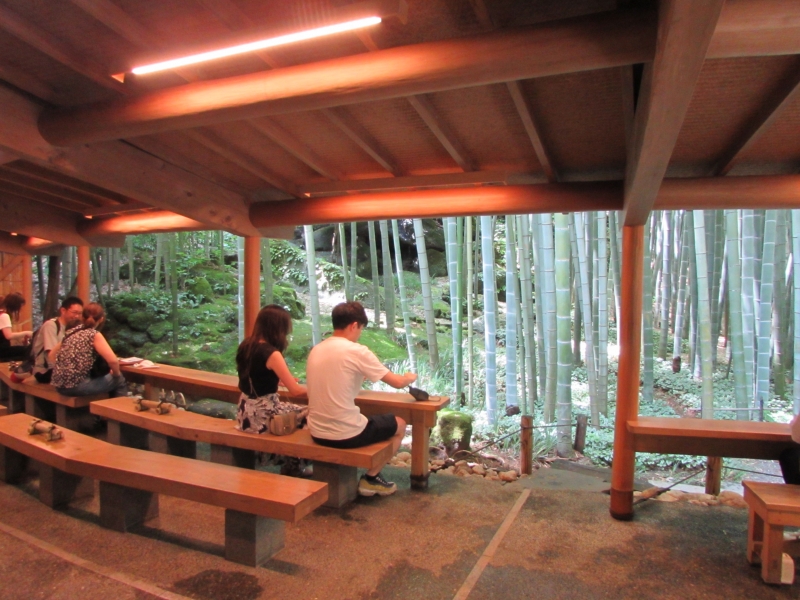 茶屋の中から覗く竹林