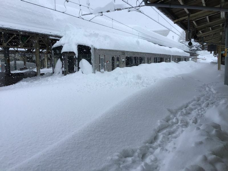 雪で動けなくなった電車