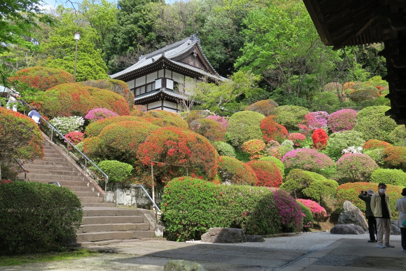 川崎市の「つつじ寺」等覺院は階段がありバリアフリーではありません