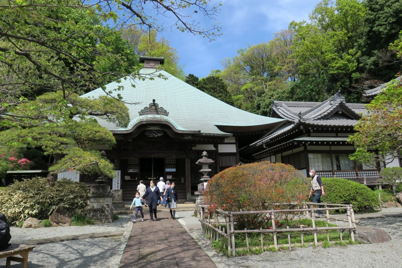 川崎市の「つつじ寺」等覺寺の本堂