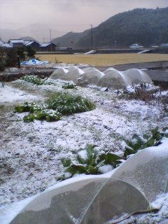 101226_1648~01.jpg