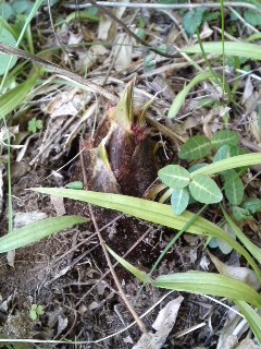 mini_110413_1308.jpg