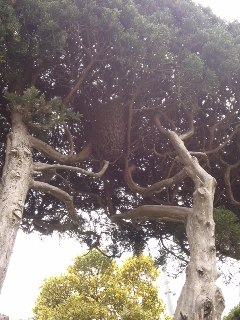 mini_110427_1106.jpg