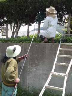 mini_110427_1129.jpg