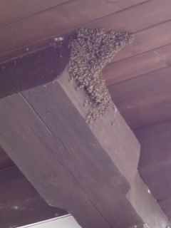 mini_110505_1232.jpg