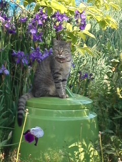 mini_110518_1720.jpg