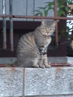 mini_110519_1856.jpg