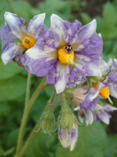 mini_110608_17470002.jpg