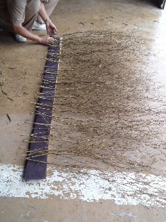 mini_110619_1211.jpg