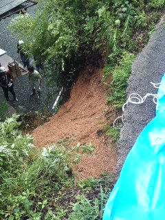 mini_110620_1454.jpg
