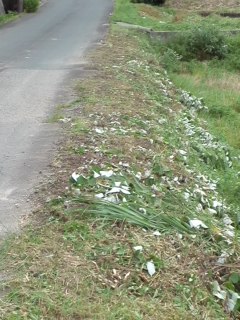 mini_110626_17200002.jpg