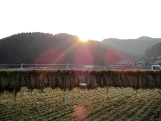 mini_111008_165100010001.jpg