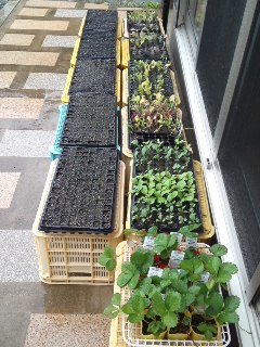mini_111014_14390001.jpg