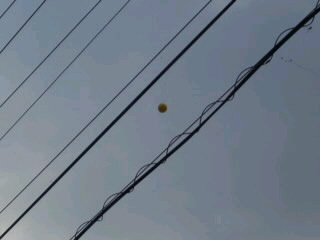 mini_111113_16130001.jpg