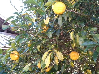 mini_111122_15060001.jpg