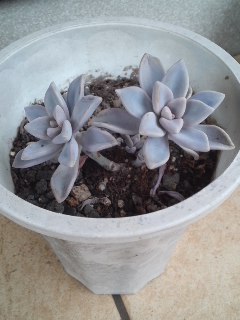mini_120305_16150001.jpg