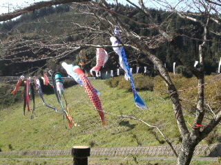 mini_120401_15010001.jpg