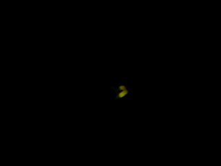 mini_120523_200500020001.jpg