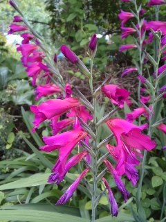 mini_120526_1506.jpg