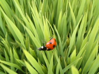 mini_120609_15360002.jpg