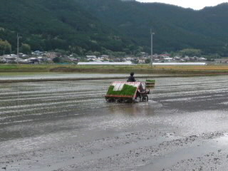 mini_120609_145700010001.jpg