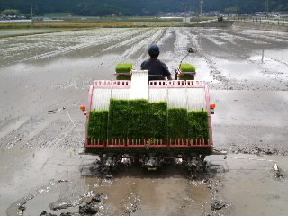 mini_120609_144900010001.jpg