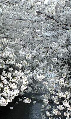090405_1531~0002.jpg