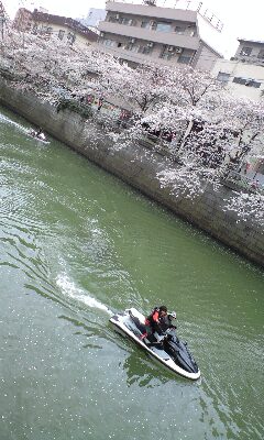 090405_1156~0001.jpg